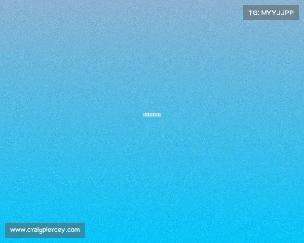 龙舟赛举办情况